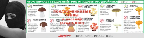 СК Вязьма
