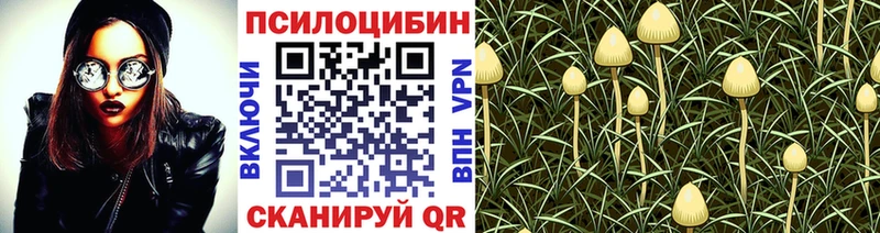 Псилоцибиновые грибы мухоморы Лянтор